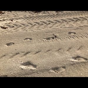 Meet your Posher, Sepideh